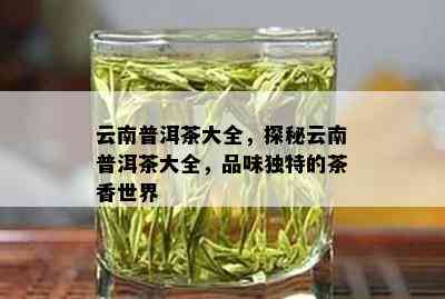 云南普洱茶大全，探秘云南普洱茶大全，品味独特的茶香世界