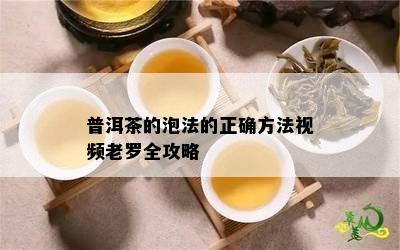 普洱茶的泡法的正确方法视频老罗全攻略