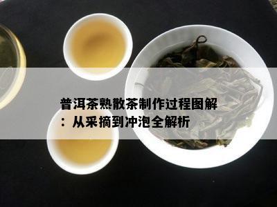 普洱茶熟散茶制作过程图解：从采摘到冲泡全解析