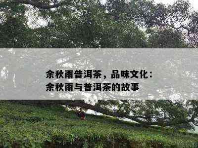 余秋雨普洱茶，品味文化：余秋雨与普洱茶的故事