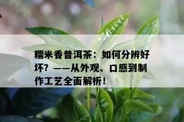 糯米香普洱茶：如何分辨好坏？——从外观、口感到制作工艺全面解析！