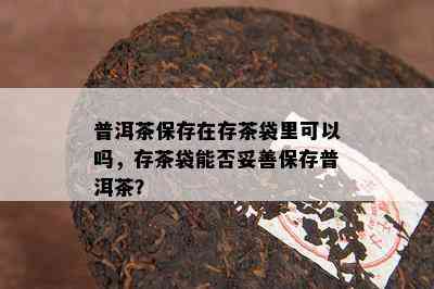 普洱茶保存在存茶袋里可以吗，存茶袋能否妥善保存普洱茶？