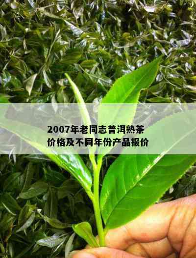 2007年老同志普洱熟茶价格及不同年份产品报价