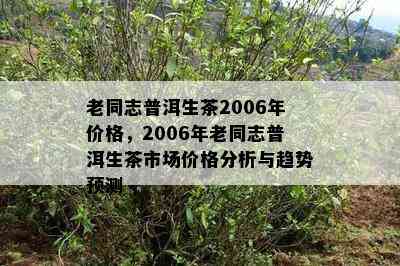 老同志普洱生茶2006年价格，2006年老同志普洱生茶市场价格分析与趋势预测