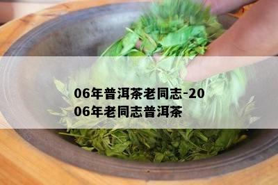 06年普洱茶老同志-2006年老同志普洱茶