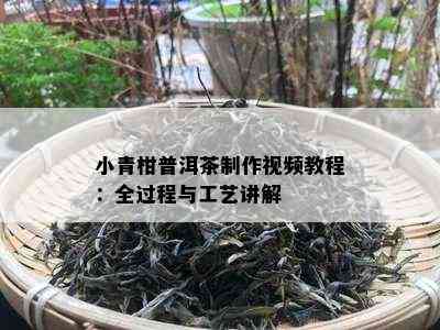 小青柑普洱茶制作视频教程：全过程与工艺讲解