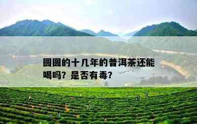 圆圆的十几年的普洱茶还能喝吗？是否有？