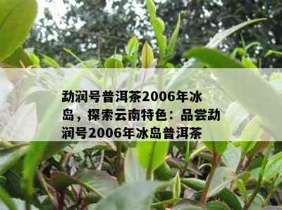 勐润号普洱茶2006年冰岛，探索云南特色：品尝勐润号2006年冰岛普洱茶