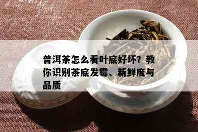 普洱茶怎么看叶底好坏？教你识别茶底发霉、新鲜度与品质