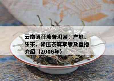 云南薄荷塘普洱茶：产地、生茶、紧压茶尊享版及直播介绍（2006年）