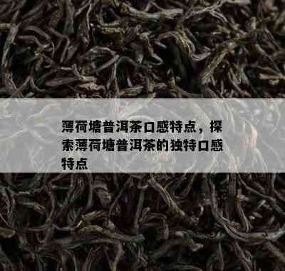 薄荷塘普洱茶口感特点，探索薄荷塘普洱茶的独特口感特点