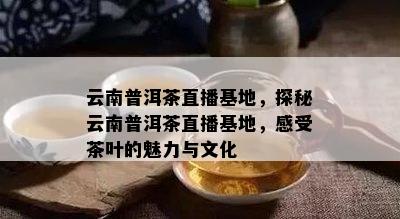 云南普洱茶直播基地，探秘云南普洱茶直播基地，感受茶叶的魅力与文化