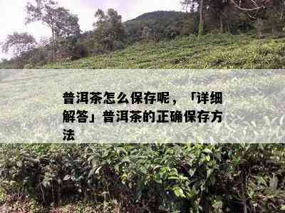 普洱茶怎么保存呢，「详细解答」普洱茶的正确保存方法