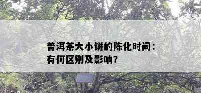 普洱茶大小饼的陈化时间：有何区别及影响？