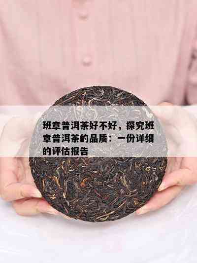 班章普洱茶好不好，探究班章普洱茶的品质：一份详细的评估报告