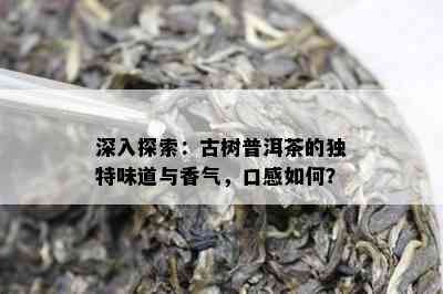 深入探索：古树普洱茶的独特味道与香气，口感如何？