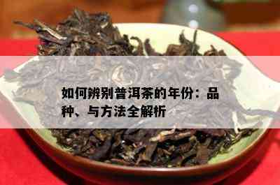 如何辨别普洱茶的年份：品种、与方法全解析