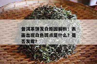 普洱茶饼发白原因解析：表面出现白色斑点是什么？是否发霉？