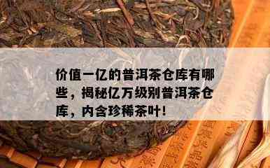 价值一亿的普洱茶仓库有哪些，揭秘亿万级别普洱茶仓库，内含珍稀茶叶！