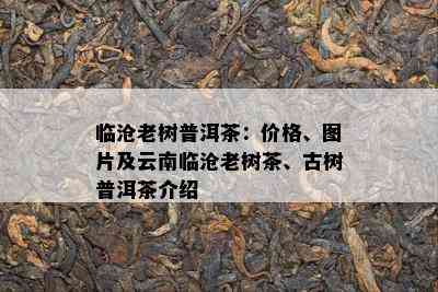 临沧老树普洱茶：价格、图片及云南临沧老树茶、古树普洱茶介绍