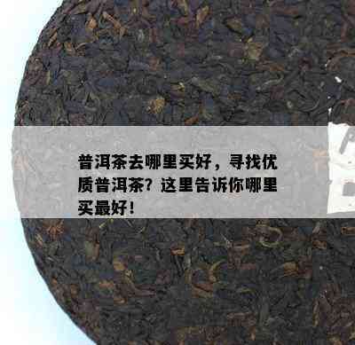 普洱茶去哪里买好，寻找优质普洱茶？这里告诉你哪里买更好！