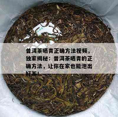 普洱茶晒青正确方法视频，独家揭秘：普洱茶晒青的正确方法，让你在家也能泡出好茶！