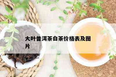 大叶普洱茶白茶价格表及图片