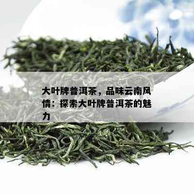 大叶牌普洱茶，品味云南风情：探索大叶牌普洱茶的魅力