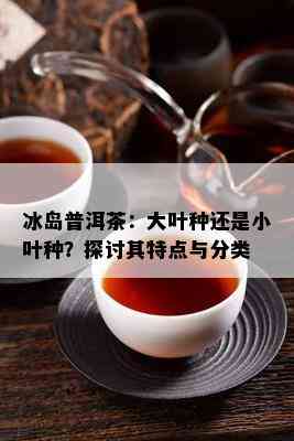 冰岛普洱茶：大叶种还是小叶种？探讨其特点与分类