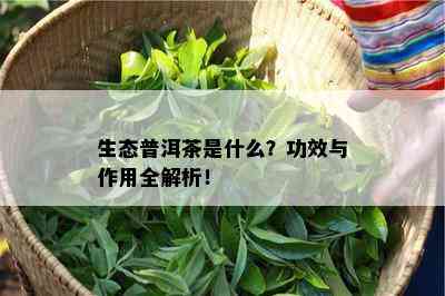 生态普洱茶是什么？功效与作用全解析！