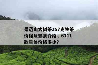 景迈山大树茶357克生茶价格及熟茶介绍，6111款具体价格多少？