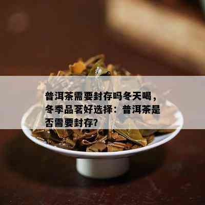 普洱茶需要封存吗冬天喝，冬季品茗好选择：普洱茶是否需要封存？