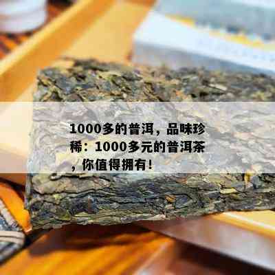 1000多的普洱，品味珍稀：1000多元的普洱茶，你值得拥有！