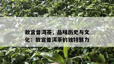 故宫普洱茶，品味历史与文化：故宫普洱茶的独特魅力