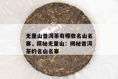 无量山普洱茶有哪些名山名寨，探秘无量山：揭秘普洱茶的名山名寨