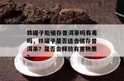 铁罐子能储存普洱茶吗有吗，铁罐子是否适合储存普洱茶？是否会释放有害物质？