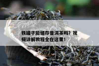 铁罐子能储存普洱茶吗？视频详解教程全在这里！