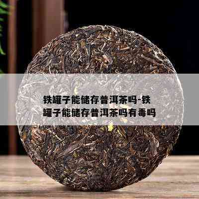 铁罐子能储存普洱茶吗-铁罐子能储存普洱茶吗有吗