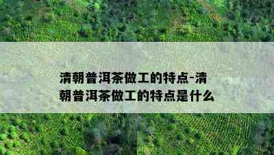 清朝普洱茶做工的特点-清朝普洱茶做工的特点是什么