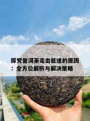 探究普洱茶走出低迷的原因：全方位解析与解决策略