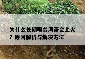 为什么长期喝普洱茶会上火？原因解析与解决方法