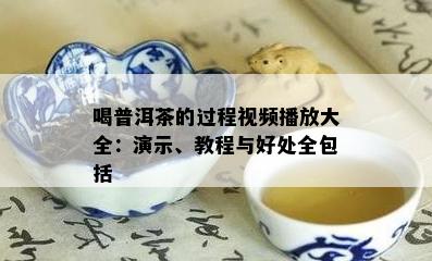 喝普洱茶的过程视频播放大全：演示、教程与好处全包括