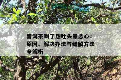 普洱茶喝了想吐头晕恶心：原因、解决办法与缓解方法全解析