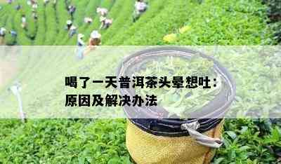 喝了一天普洱茶头晕想吐：原因及解决办法