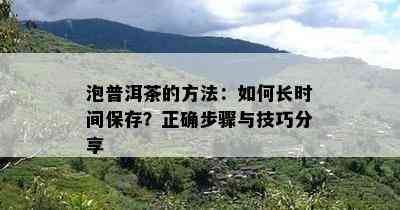 泡普洱茶的方法：如何长时间保存？正确步骤与技巧分享