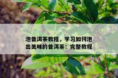 泡普洱茶教程，学习如何泡出美味的普洱茶：完整教程