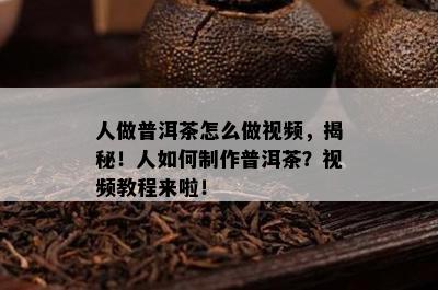 人做普洱茶怎么做视频，揭秘！人如何制作普洱茶？视频教程来啦！