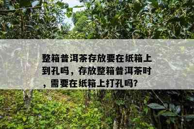 整箱普洱茶存放要在纸箱上到孔吗，存放整箱普洱茶时，需要在纸箱上打孔吗？