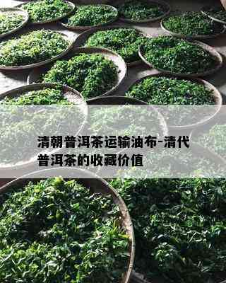 清朝普洱茶运输油布-清代普洱茶的收藏价值