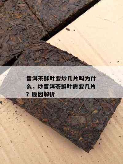 普洱茶鲜叶要炒几片吗为什么，炒普洱茶鲜叶需要几片？原因解析